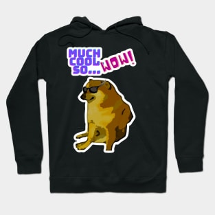 Much Cool, So Wow" Doge Meme Hoodie